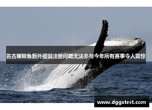 名古屋鲸鱼新外援因注册问题无法参与今年所有赛事令人震惊