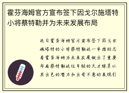 霍芬海姆官方宣布签下因戈尔施塔特小将蔡特勒并为未来发展布局